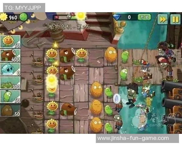 九游会J9入口-探索九游会J9入口的神奇世界